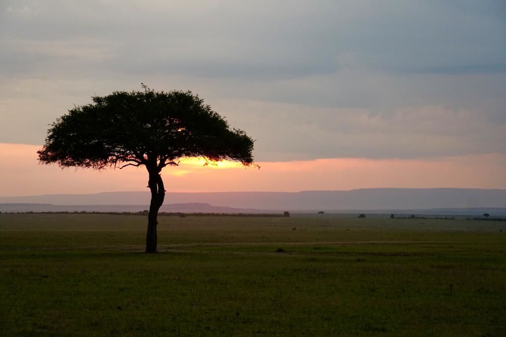 Safari en familia por Kenia: todos muy contentos